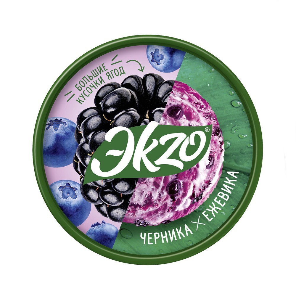 Ekzo мороженое молочное ведро Черника-Ежевика с ягодами черники 520 гр